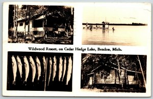 Wildwood Resort, Cedar Hedge Lake, Bendon,, Michigan Multi View - Postcard 