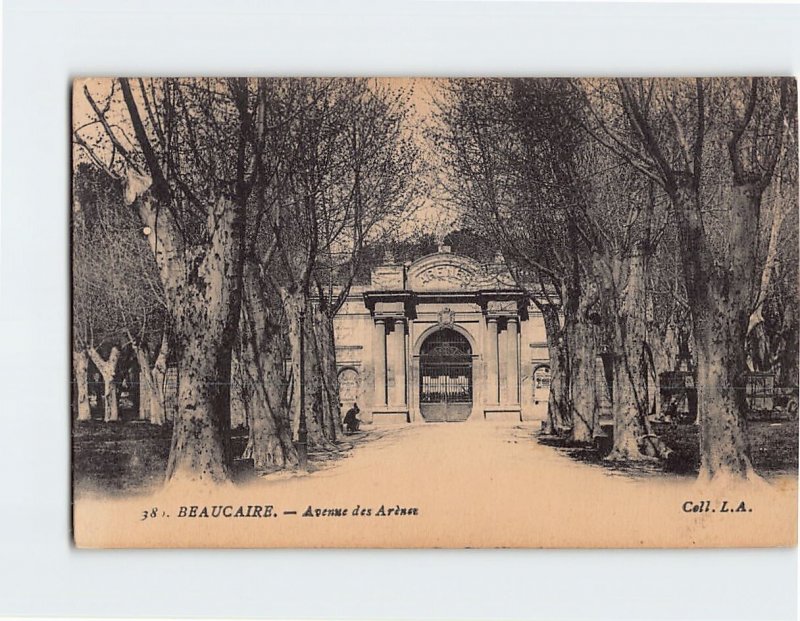 Postcard Avenue des Arènez, Beaucaire, France
