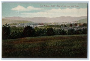 c1910 View Lake Town East Andover Grass New Hampshire Vintage Antique Postcard