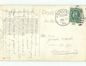 Divided-Back FALLOW DEER Postmarked Homestead Pennsylvania PA E6624
