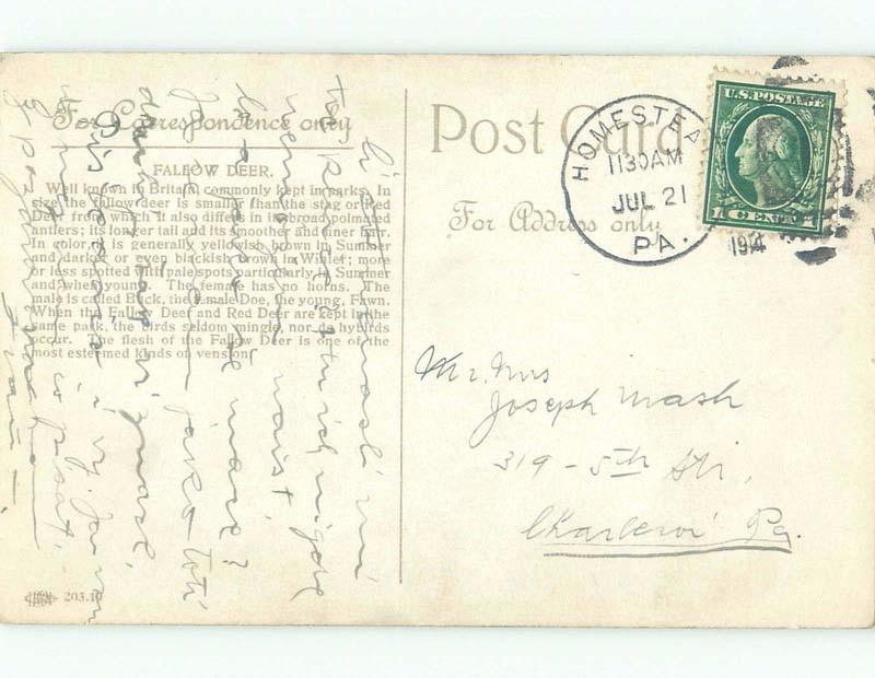 Divided-Back FALLOW DEER Postmarked Homestead Pennsylvania PA E6624