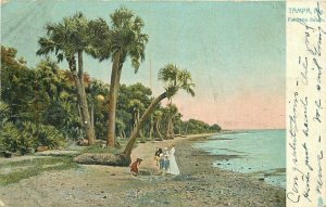 C-1910 Tampa Florida Palmetto Beach Tuck #2100 Postcard 20-11259
