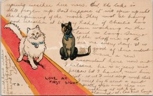 Cats 'Love At First Sight' TB c1912 Davidson Bros Tom Browne Postcard E77