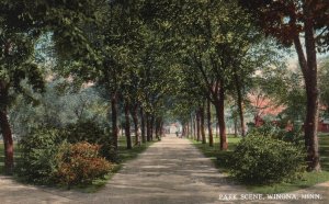 Vintage Postcard Park Scene Driveway Winona Minnesota MN Williams Book Store