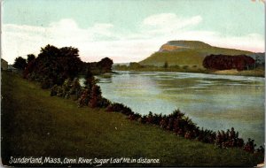 Vtg 1908 Connecticut River Sugar Loaf Mountain Sunderland MA Antique Postcard