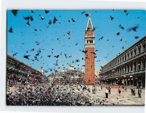 Postcard Flock of pigeons, St. Marcus Square, Venice, Italy