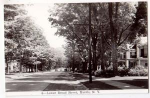 RPPC, Lower Braod St. Morris NY