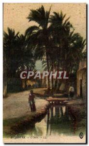 Old Postcard Algeria Biskra The Oasis