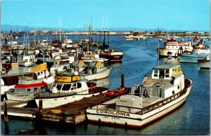 Circa 1955 San Diego Vtg Postcard Sportfishing Boats Yacht Basin North Island
