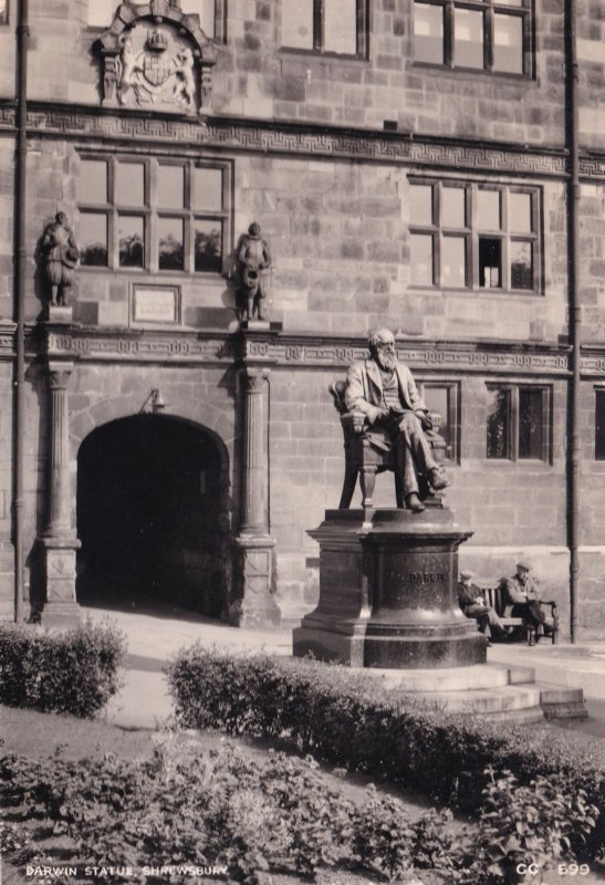 Charles Darwin Statue Shrewsbury Old 1950s Real Photo Postcard