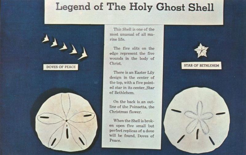 Legend of the Holy Ghost Shell - Mellita Testudinata