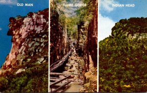 New Hampshire White Mountains Franconia Notch Flume Gorge Old Man & Indian Head