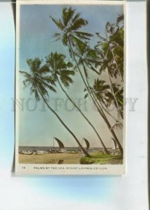 473211 Ceylon Mount Lavinia palms boats Vintage tinted photo postcard