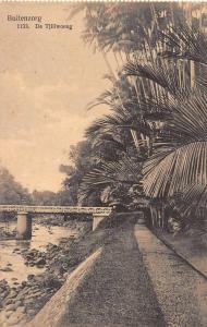 Buitenzorg Indonesia River Palm Trees Bridge Antique Postcard J45712