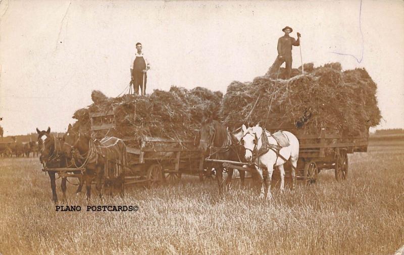 EARLY 1900'S FARMERS WITH MULE DRAWN HAY WAGONS RPPC REAL PHOTO POSTCARD