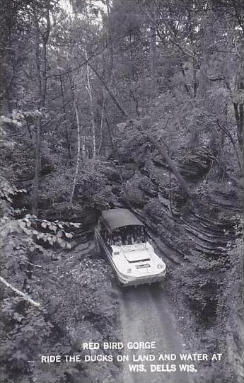 Wisconsin Dells Red Bird Gorge Real Photo RPPC