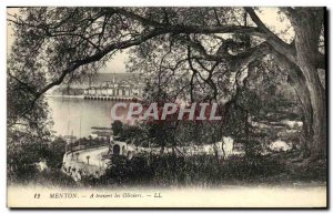 Old Postcard Menton Through the Olive Trees