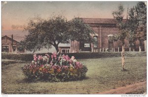 OWINGS, West Virginia, 1900-1910s; Flower Beds, Hand-Colored