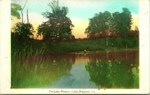 The Lake Phospho Lithia Ridgeway VA Gazeebos Hand Tint 1908 DB Postcard T18