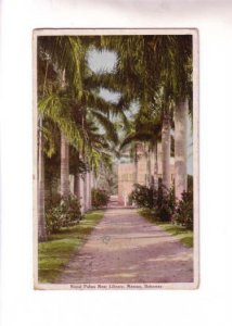 Royal Palms near Library, Nassau, Bahamas,