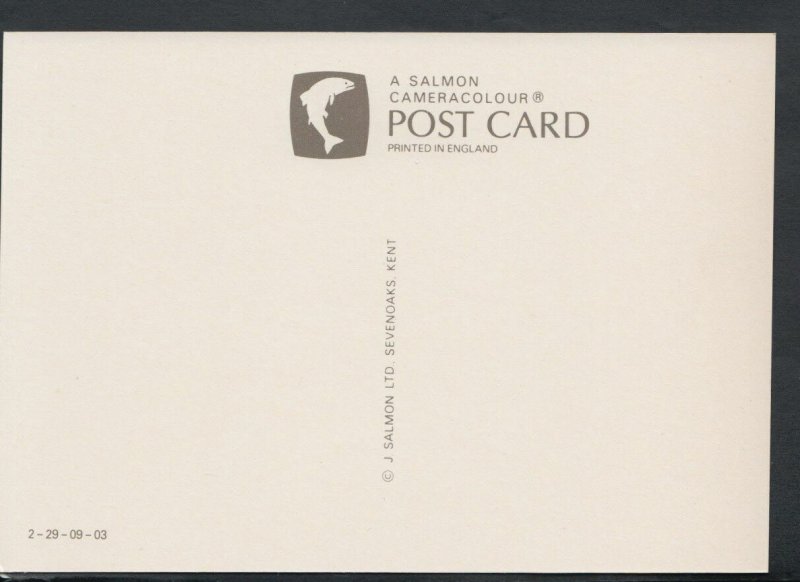 Norfolk Postcard - Norwich Castle     RR4187