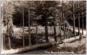 The Never-Dying Redwood Crescent City California CA Real Photo RPPC Postcard