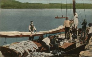 BERMUDA Fishermen w Large Fish Catch c1910 Postcard