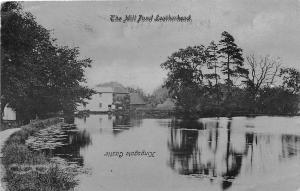 BR62556 the mill pond leatherhead   uk