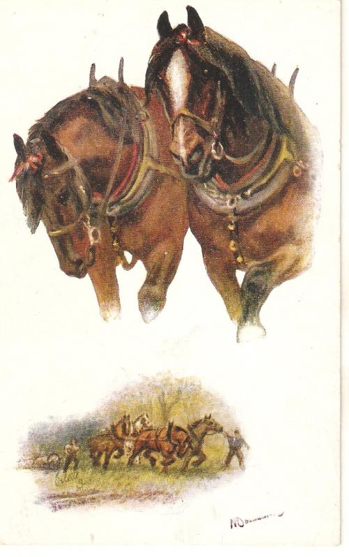 Norah Drummond. Horses. Man's Best Friend Tuck Oilette PC # 8650