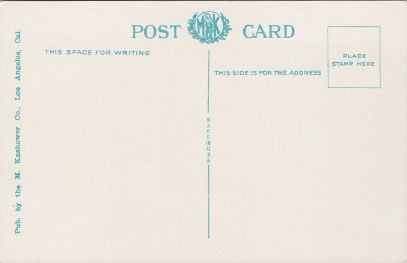 Sunset Cliffs San Diego CA Unused Kashower Postcard G90