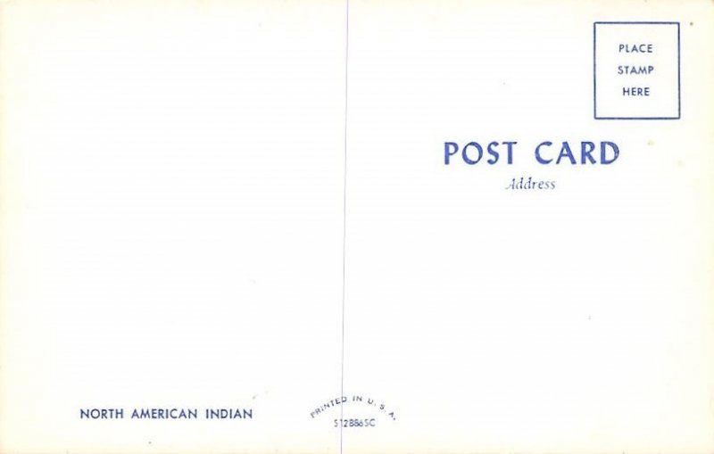 North American Indians Unused 