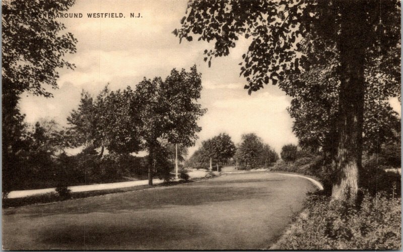Vtg Scene Around Westfield New Jersey NJ Scenic View 1940s Postcard