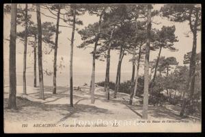 Arcachon - Vue au Parc des Abatilles