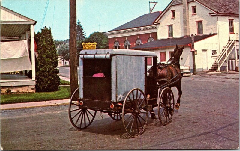 Pennsylvania Dutch Colony Horse Buggie Mennonite Streetview Chrome Postcard