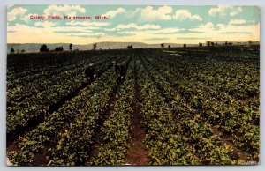 Kalamazoo Michigan~Farmers In Celery Field~Mountains Bkgd~PM 1912 Postcard