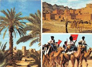 BG14092 morocco kasbah dans la vallee du draa types camel