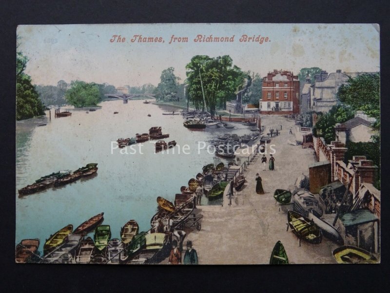 Surrey RICHMOND The Thames from Richmond Bridge c1905 Postcard