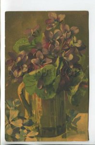 462029 Catharina KLEIN Violet flowers in Jug Vintage postcard