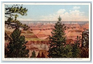 c1920's The Canyon Seen Through Pines On Rim Grand Canyon National Park Postcard 