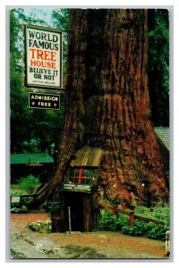 Vintage Postcard CA Tree House Redwood Highway California