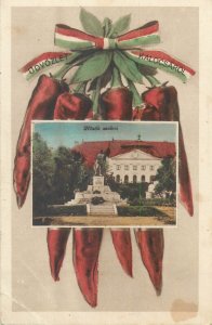 Hungary Kalocsa unit of 2 vintage postcards red peppers novelty 