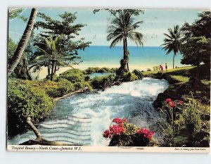 Postcard Tropical Beauty North Coast Jamaica