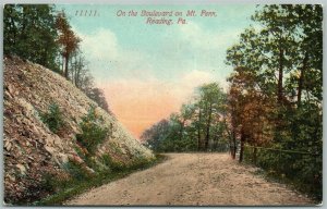 READING PA BOULEVARD ON MT. PENN ANTIQUE POSTCARD