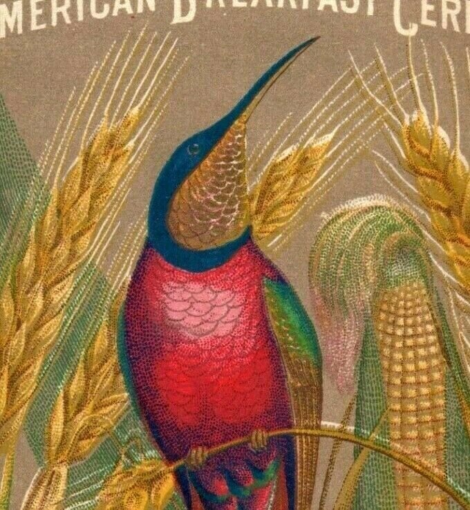 1870's-80's American Breakfast Cereal ABC Colorful Bird In Wheat P192