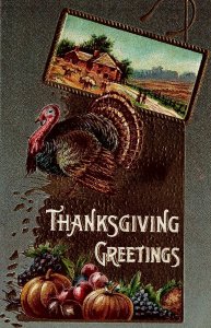 c1915 THANKSGIVING GREETINGS TURKEY PUMPKINS GRAIN FARM FRUIT POSTCARD 20-173