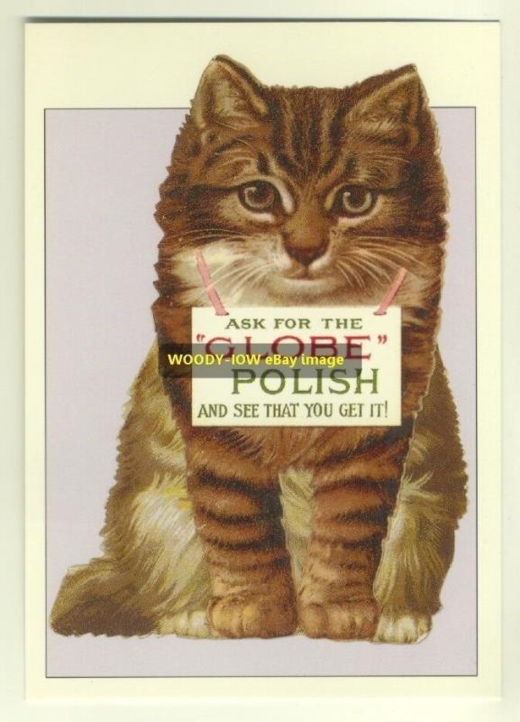 ad1827 - Globe Polish - Kittens - modern advert postcard