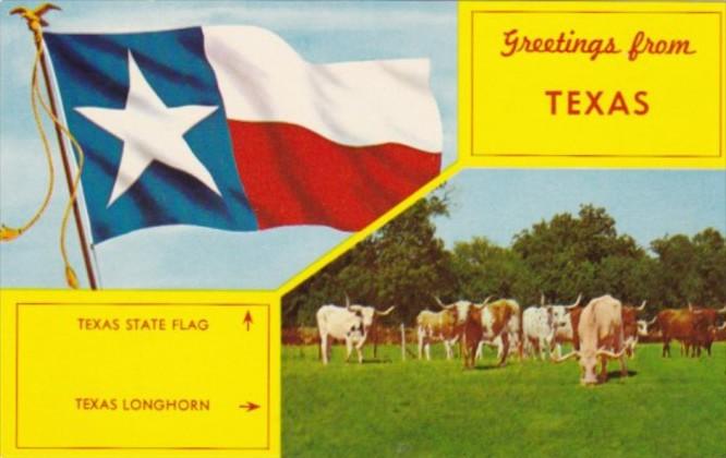 Greetings From Texas Showing Longhorn Cattle and State Flag