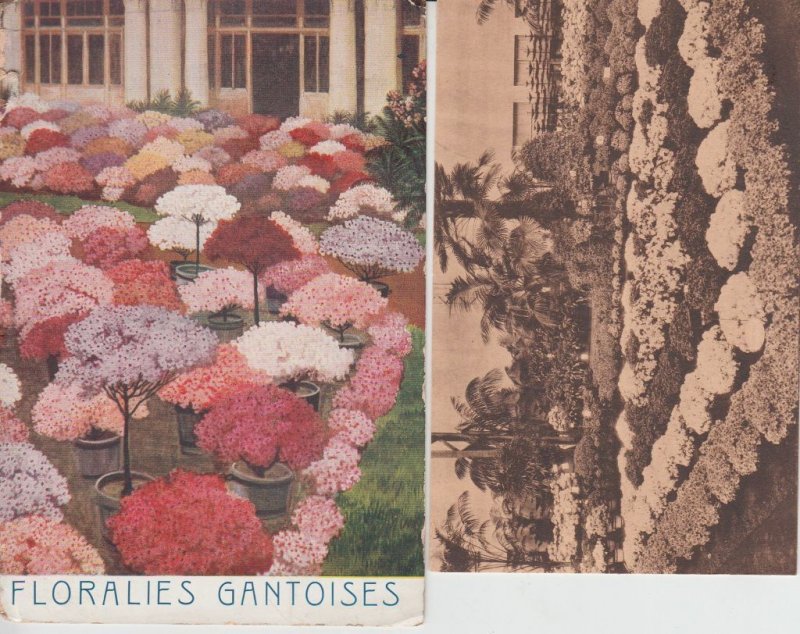 FLOWER EXPOSITION Gand 1908, 1933,1955 Belgium 42 Vintage Postcards (L5473)