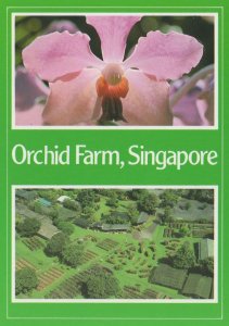 Orchid Farm Singapore Map Postcard