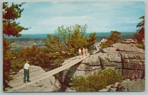 Chattanooga Tennessee~Swing Along Bridge~Atop Lookout Mts~Vintage Postcard